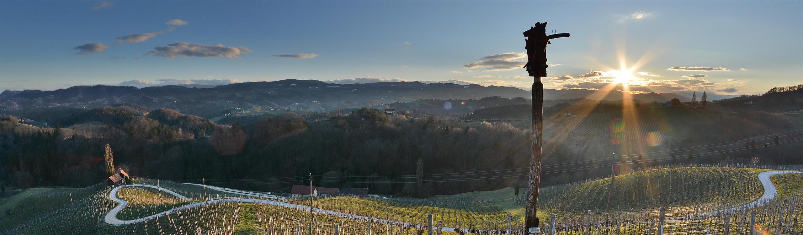 Srce med vinogradi