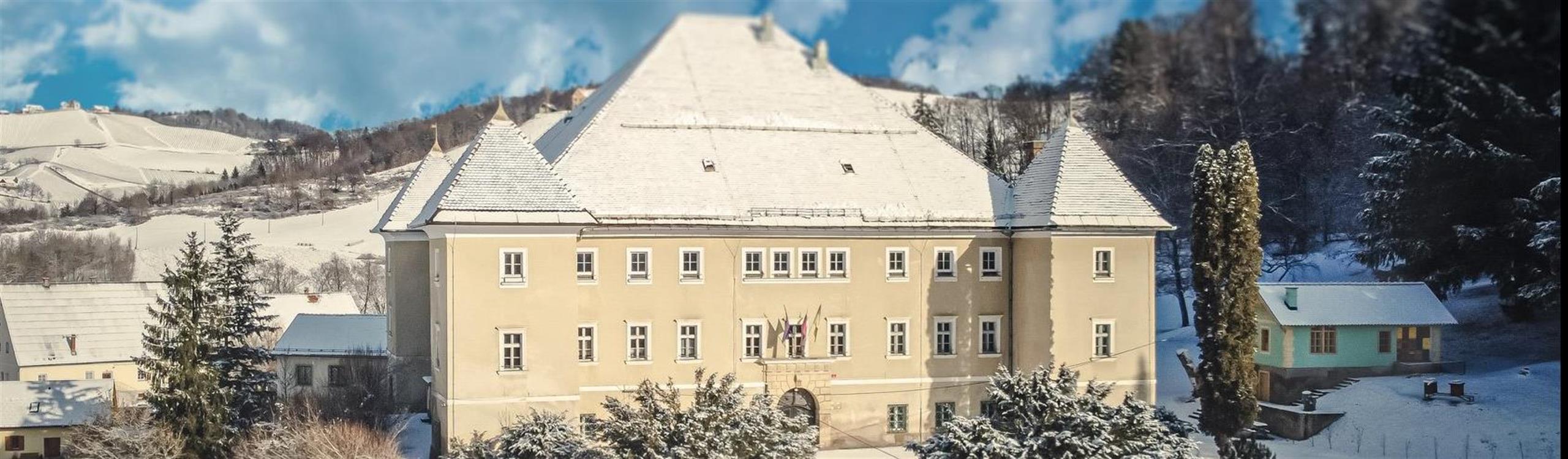 Grad Svečina
